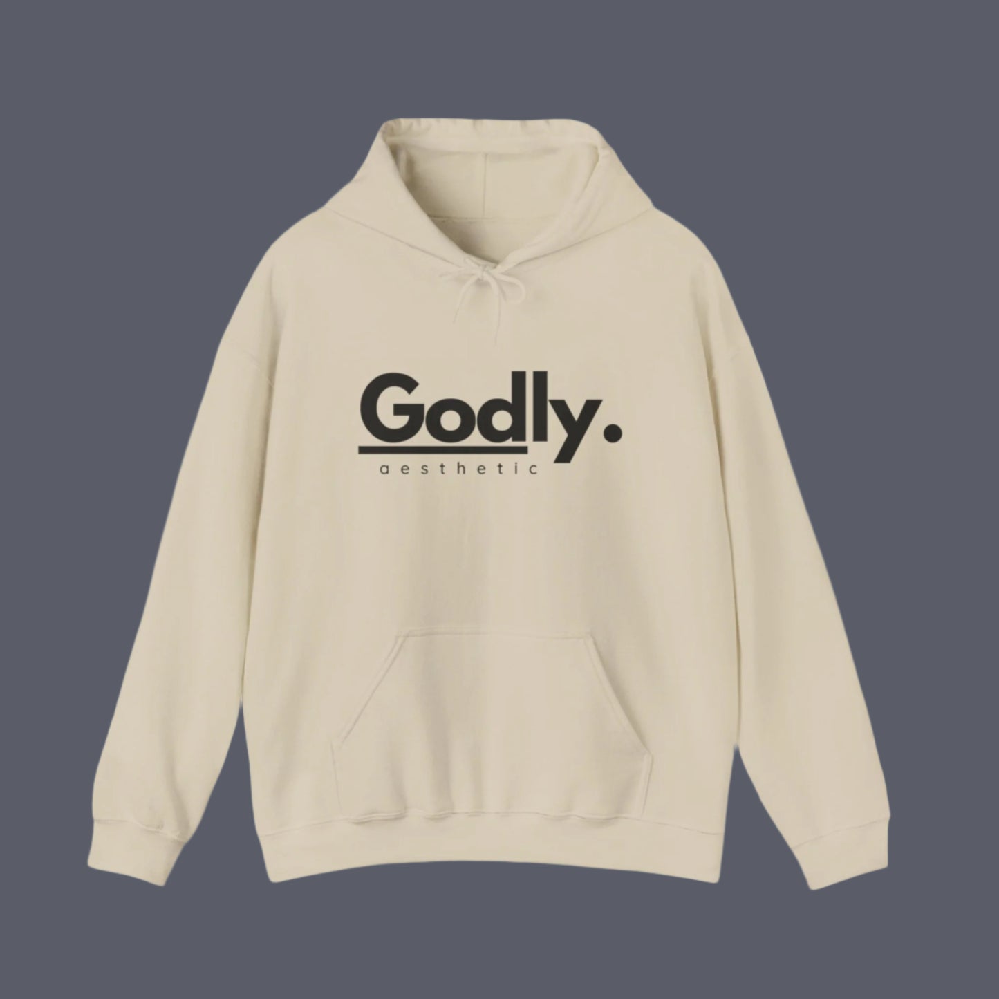 Godly Aesthetic Branded Hoodie