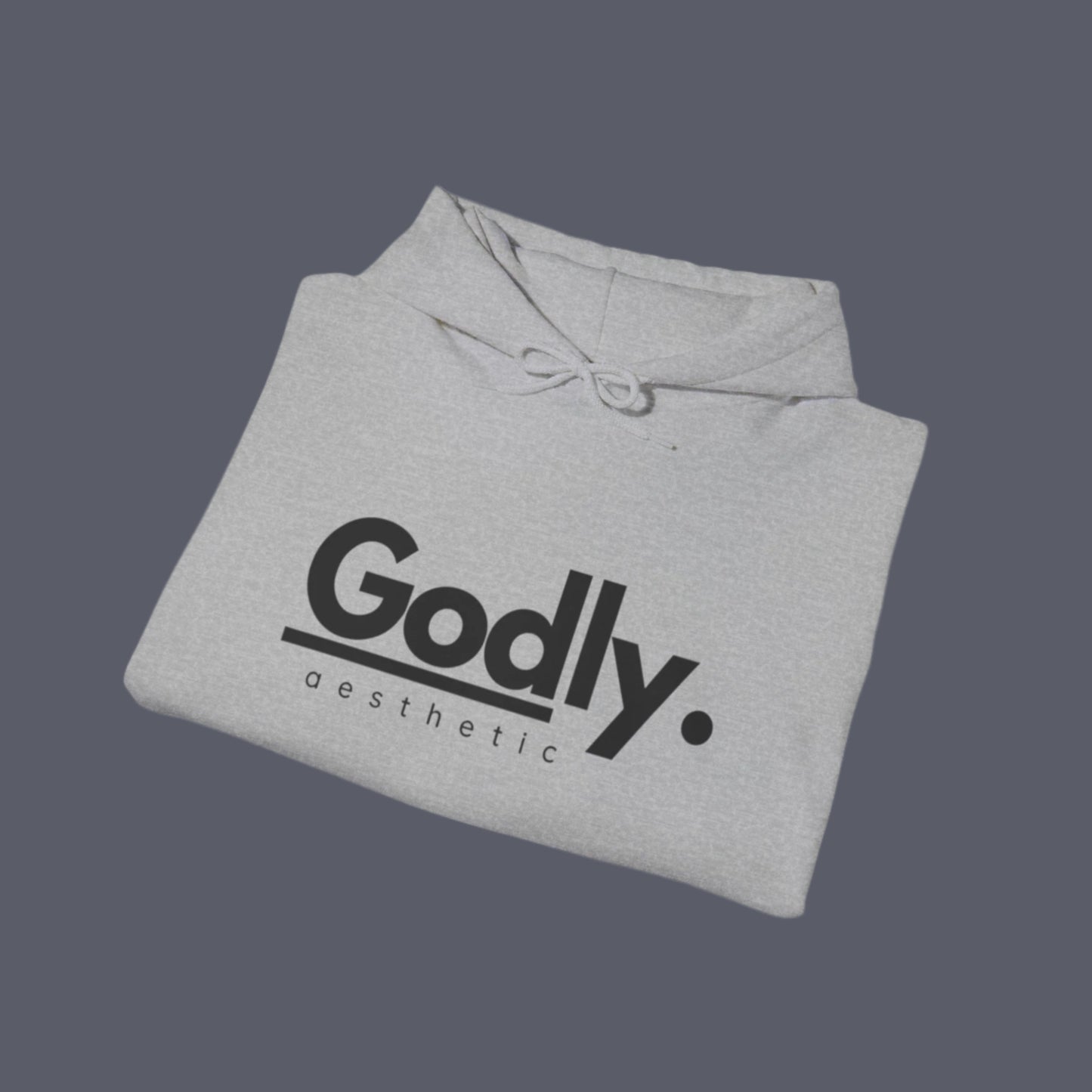 Godly Aesthetic Branded Hoodie