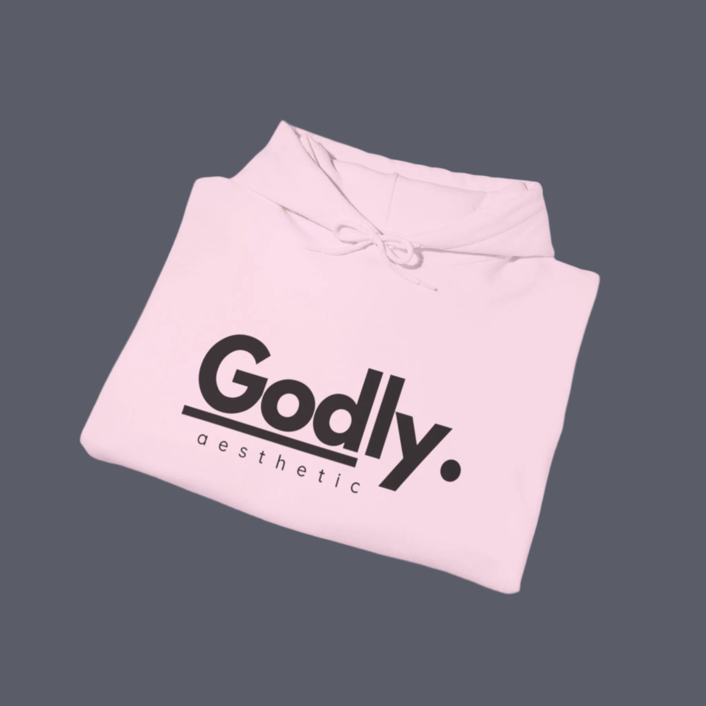 Godly Aesthetic Branded Hoodie