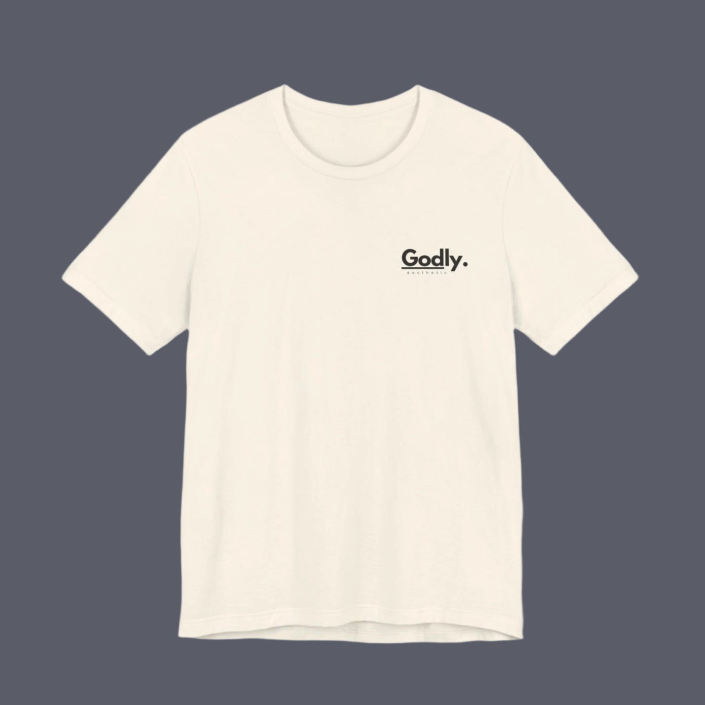 ACTS 16:31 TEE