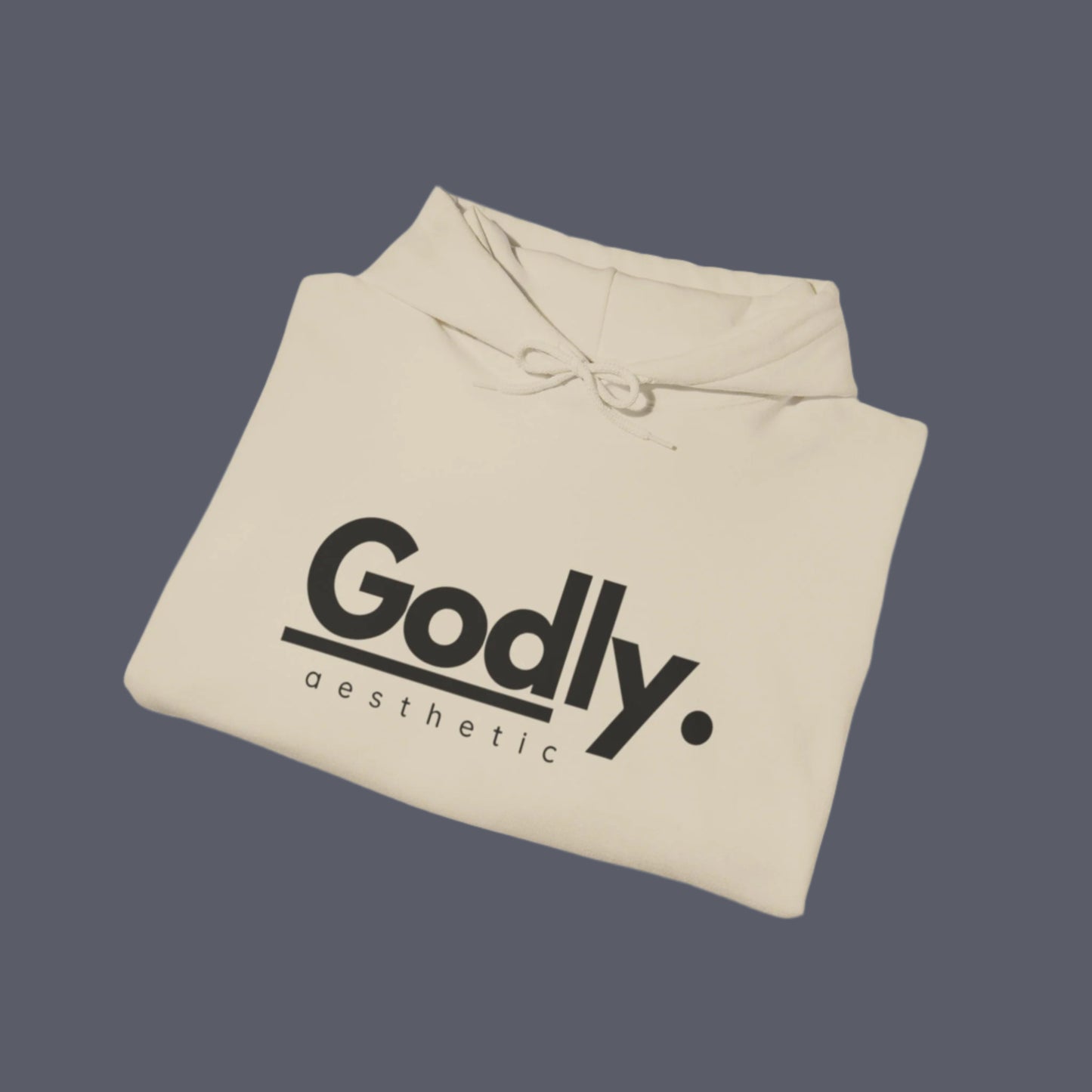 Godly Aesthetic Branded Hoodie