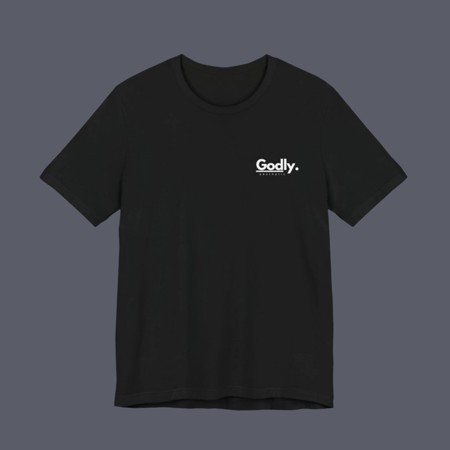 ACTS 16:31 TEE