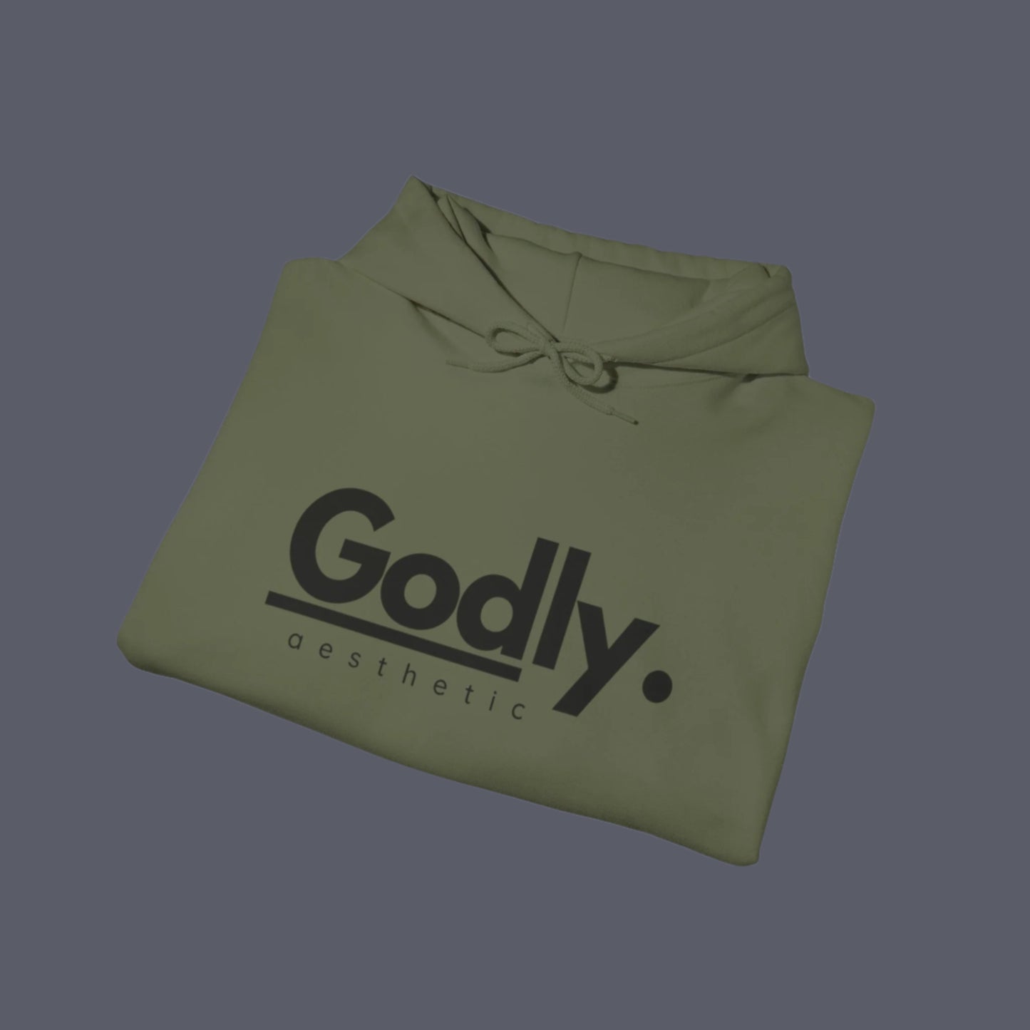 Godly Aesthetic Branded Hoodie